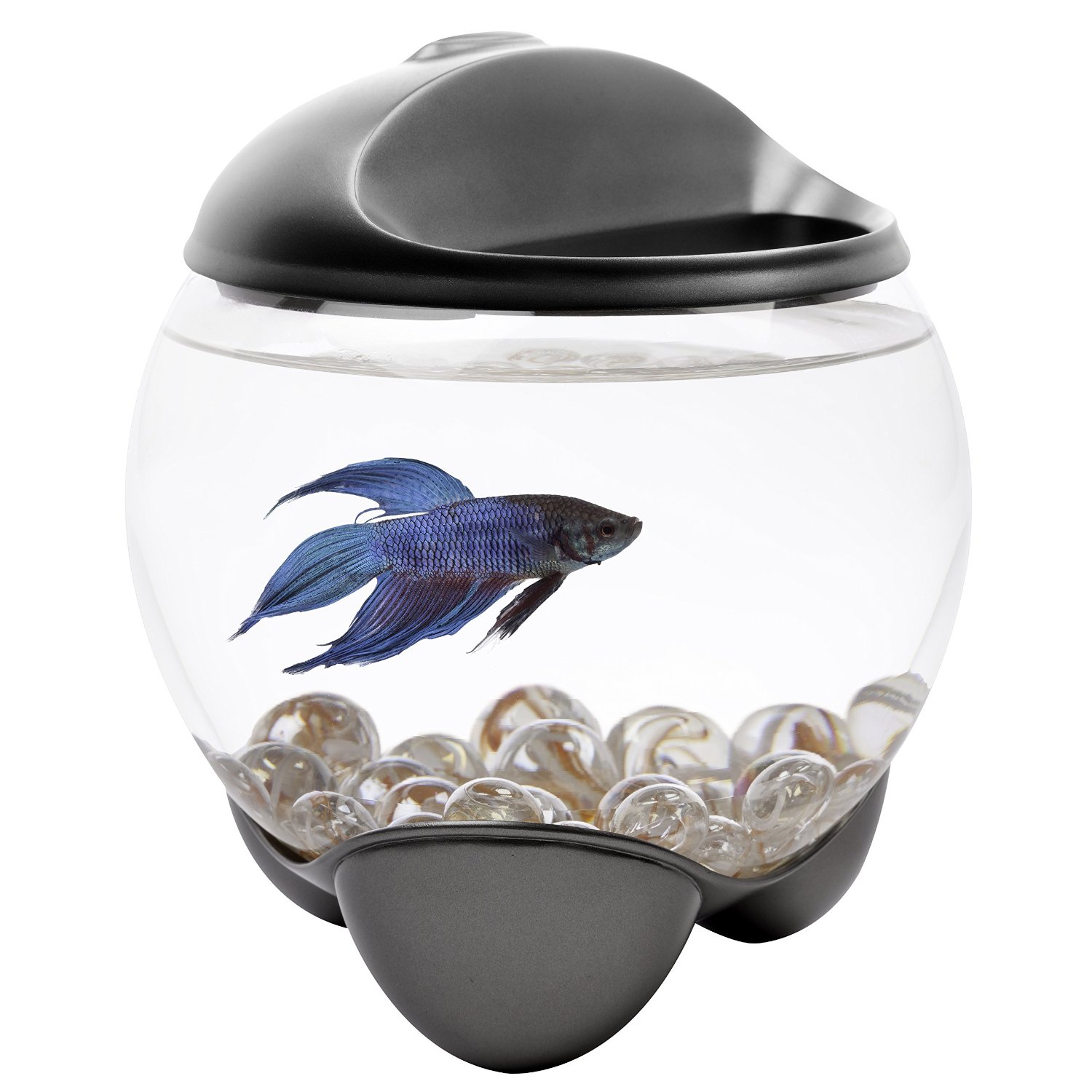 Tetra 29263 Betta Bubble Betta Bowl with LED Light