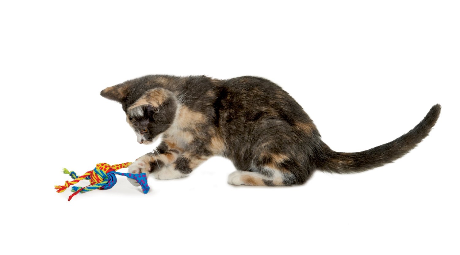 Petstages Tons of Tails Cat Toy