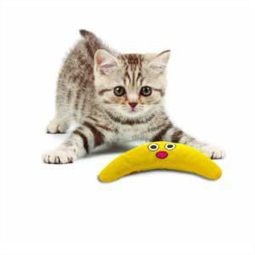 Petstages Green Magic Boomerang Buddy Catnip for Cats