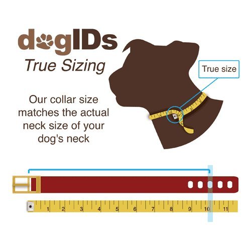 Personalized English Bridle Leather Dog Collar