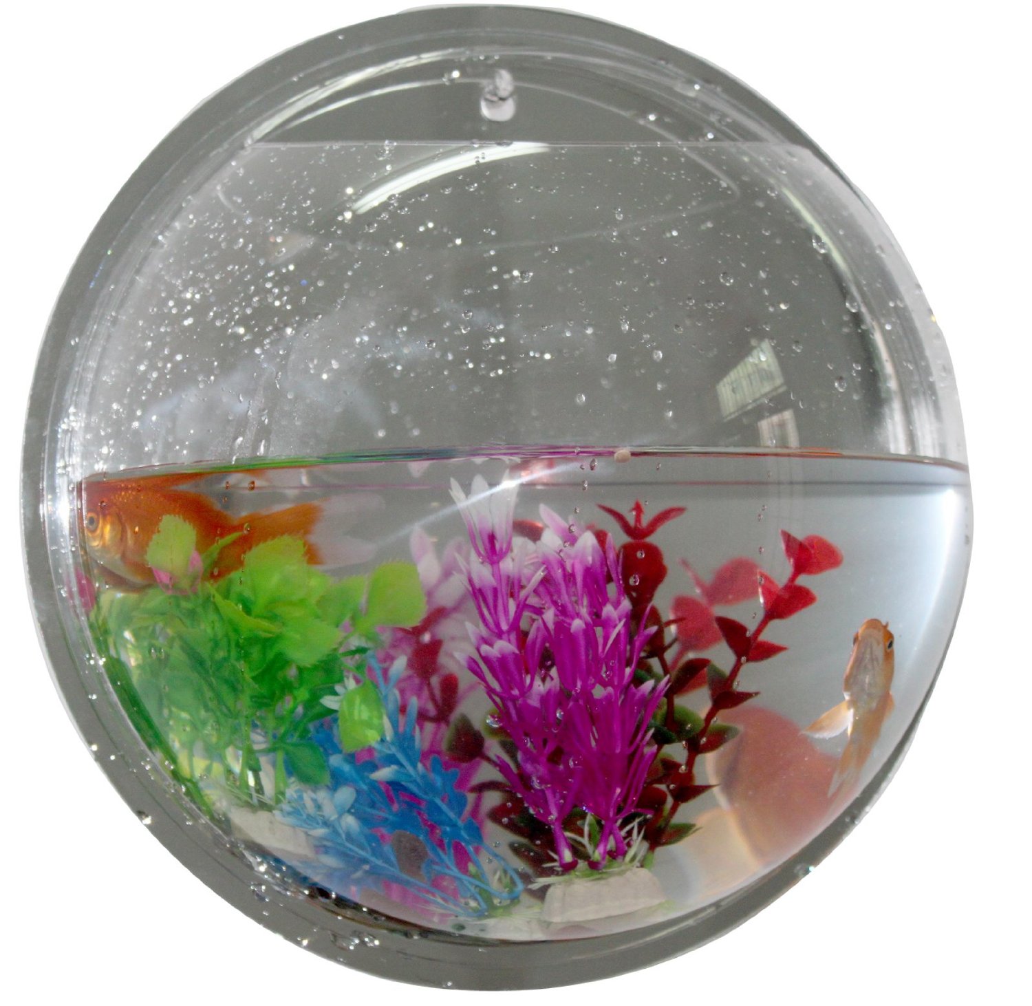 Microtimes Wall Hanging Fish Bowls Mount Bubble Aquarium Acrylic Fish Tank