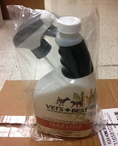 Vet